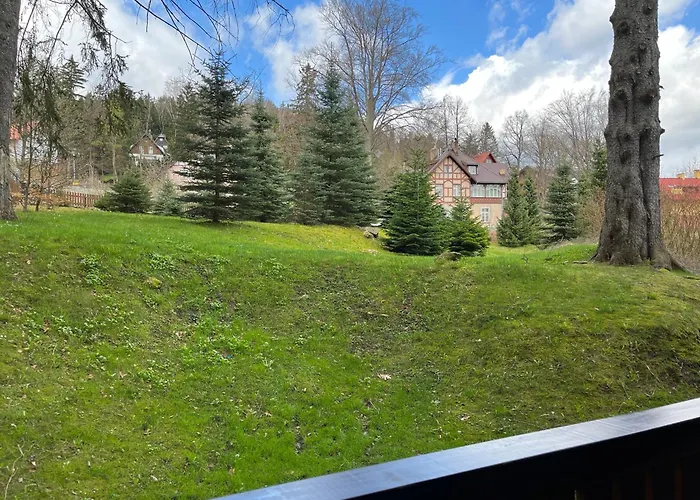 W Rezydencji Pod Swierkami *